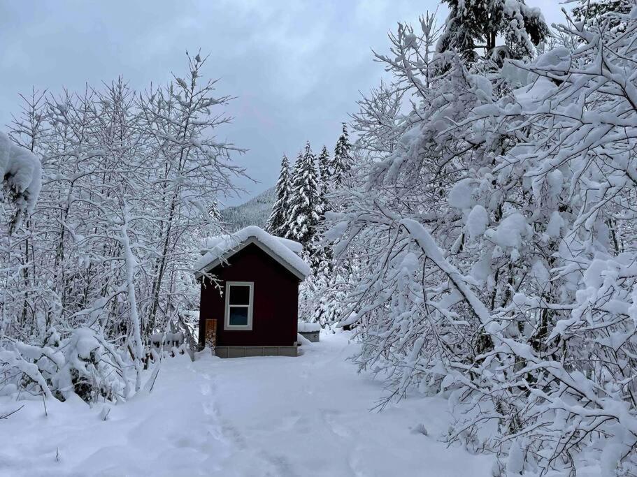 Cozy Tiny Home Steps Away From Mt. Rainier Ashford Exterior photo